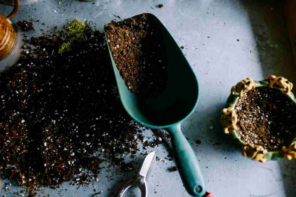 gardening tools