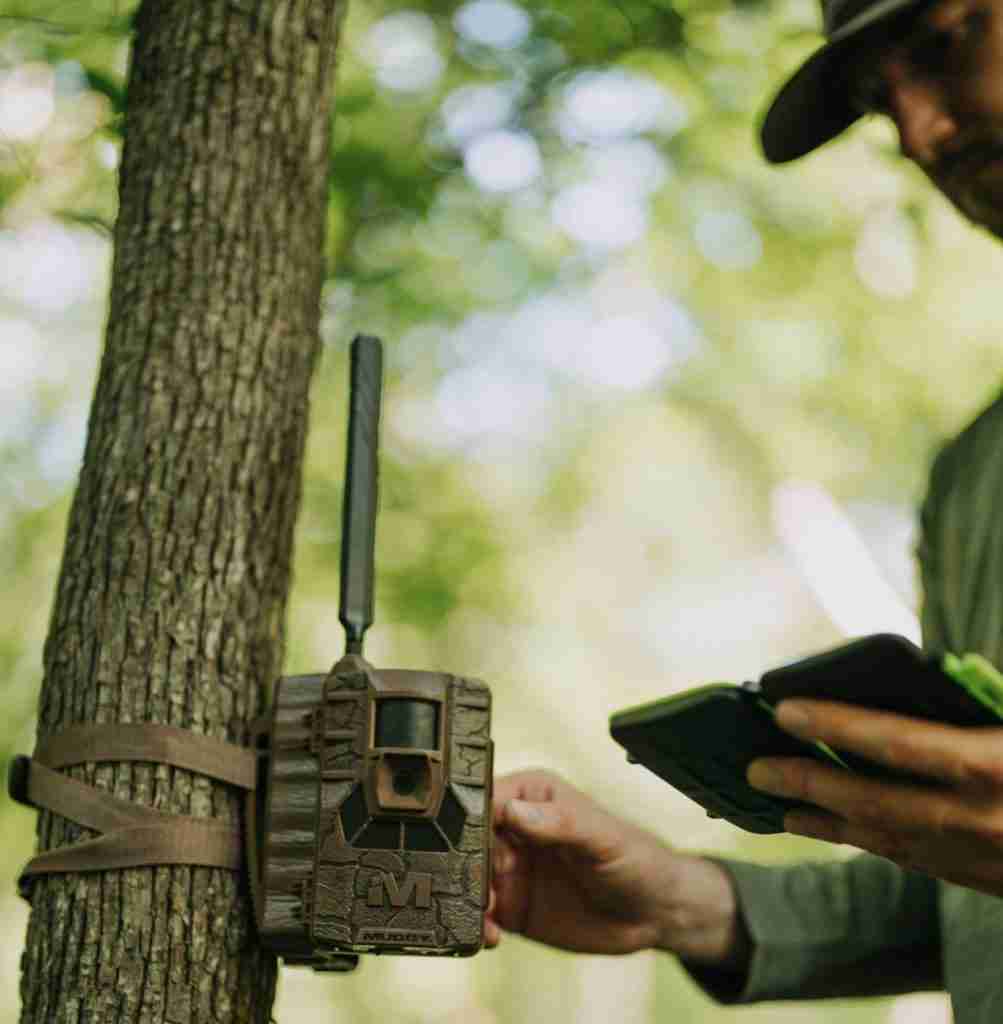 Man in the woods checking a trail camera that has been mounted to a tree
