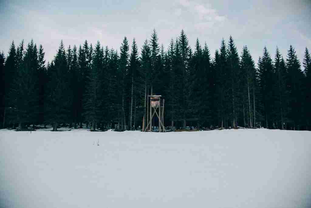 top hunting blinds