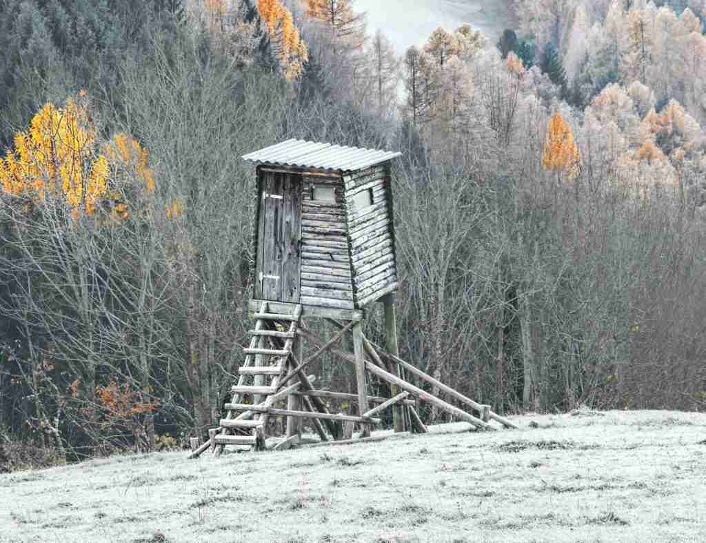 choosing the right ladder stand