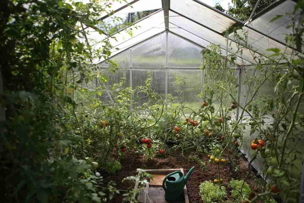 garden prep