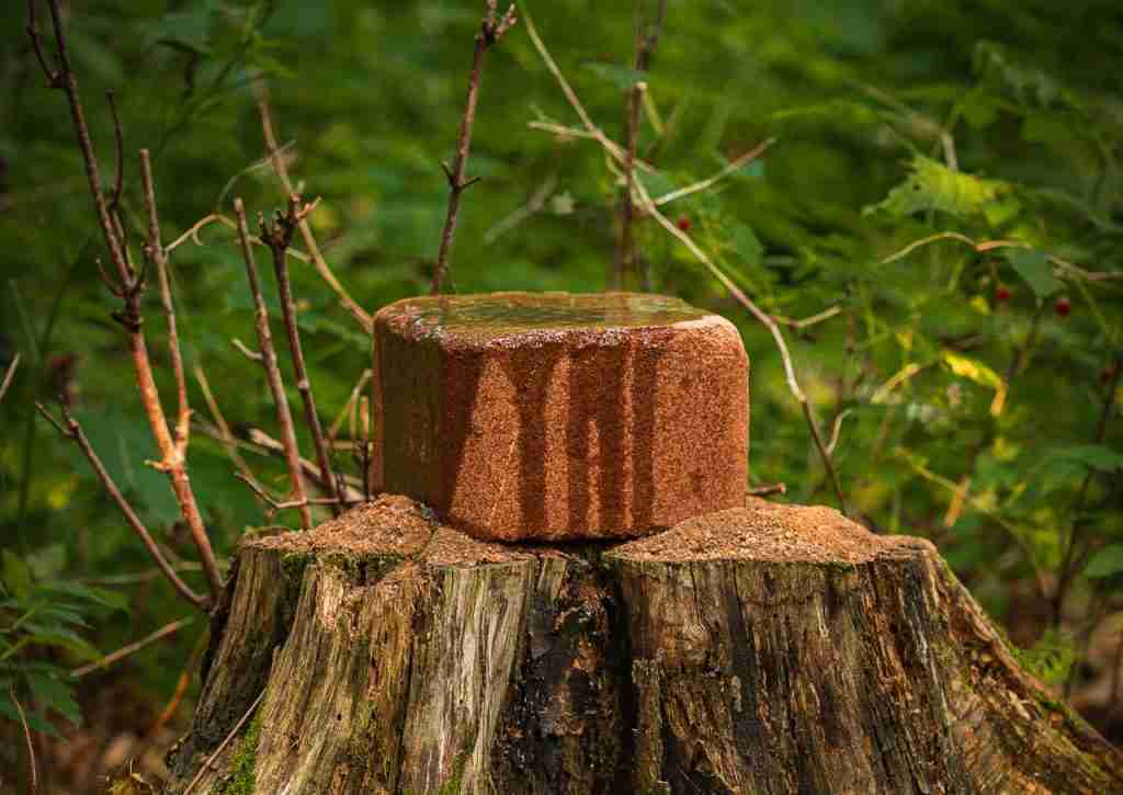 A cube mineral lick for deer on a tree stump in the forest. 