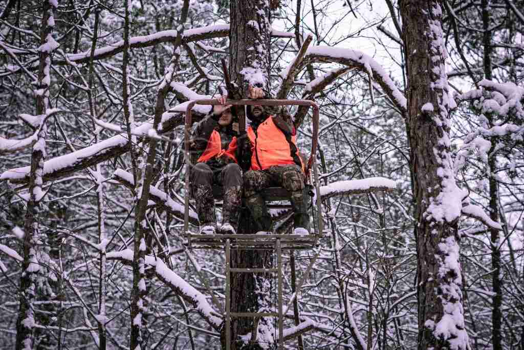 tree stand in winter
