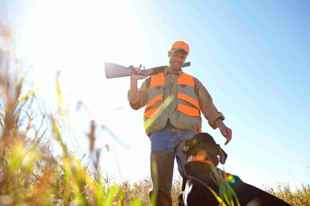 hunting-in-low-light
