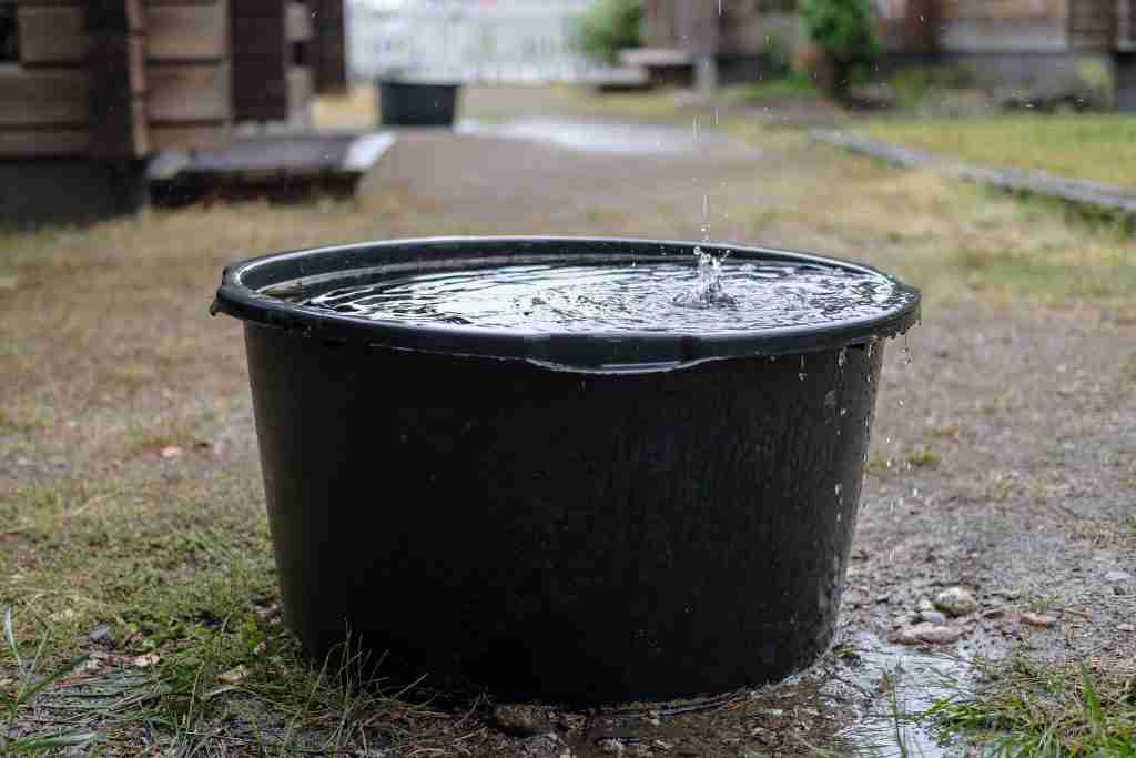 rainwater harvesting