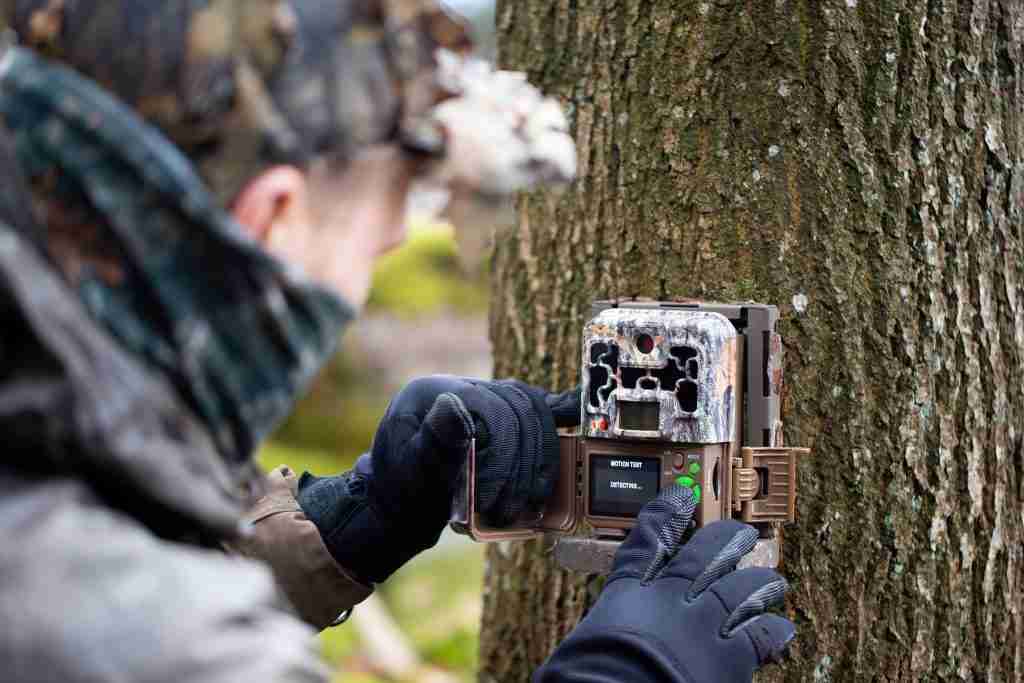 trail cameras
